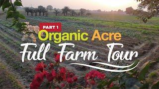 Fun Farm Tour - ORGANIC ACRE | Part-1 | घर बैठे देखें मेरा पूरा खेत @OrganicAcre