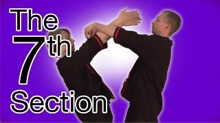 Wing Tsun 7th Chi Sau Section