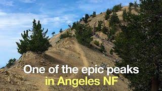 Mount Baden-Powell Hike Guide - HikingGuy.com