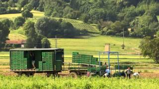 Resource efficiency in the University Hospital Freiburg in Germany