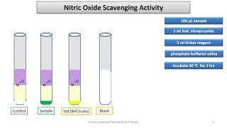 Nitric Oxide Scavenging Assay & Reducing power Antioxidant Assays Dr  B P Pimple