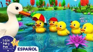 Cino Patitos Amarillo | +Más Canciones Infantiles | Dibujos Animados | Little Baby Bum Latino