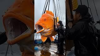 Raro Peixe Orange Gigante #animals #ocean #peixes #monster #pesca