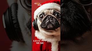 Playlist Lofii Christmas vibes  / Lofi hip hop mix [Beats to Enjoy & Work] Vol.13 #lofihiphopmix