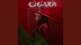 Cigara