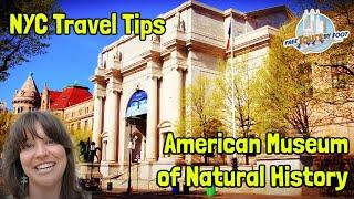 American Museum of Natural History NYC Tickets, Tours, and Planning Tips