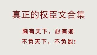 真正的权臣文合集，要江山如画，也要她笑面如花，大爱这个系列！（言情小说推荐）