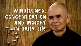 Mindfulness, Concentration, and Insight in Daily Life | Thich Nhat Hanh (short teaching)