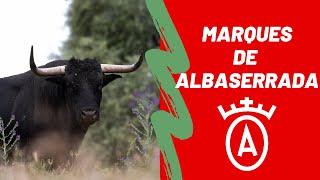 GANADERÍA MARQUES DE ALBASERRADA | TOROS 2022  (reportaje completo)