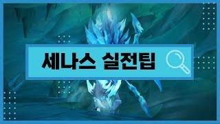 세나스 신화 공략&실전팁 / Sennarth Mythic