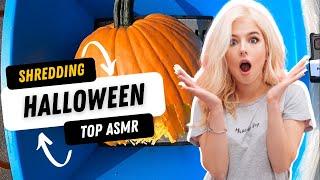 Top Shredding ASMR - Shredding All Things Halloween With Industrial Shredder