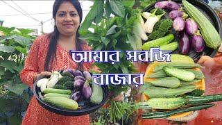 নিজের বাড়িতেই সবজি বাজার করলাম। Monsoon Vegetable Garden Harvesting। Greeny Pots ।