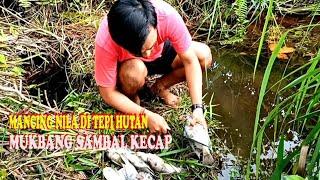 Fishing & cooking II Mancing dan mukbang dipinggir hutan @wied 80