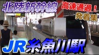 【糸魚川駅】北陸新幹線の高速通過・発着集　2023/8/21