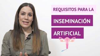 ¿Cuáles son los requisitos para la inseminación artificial intrauterina?