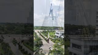 College Life  #shorts #trending #heeriye #abhishekkushwahavlogs #souravjoshivlogs #elvishyadav