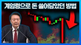 폭락장에서 돈을 쓸어담은 개미들..? (#계엄령 #윤석열 #비트코인 알트코인 리플 솔라나 역프리미엄, 김프)