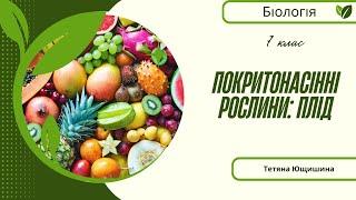 Урок 25. Покритонасінні рослини: плід. 7 клас. НУШ