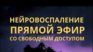 Нейровоспаление, как причина: аутизм, сдвг, зпр, зпрр, зрр