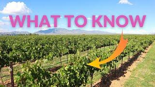 Where is Arizona WINE Country?