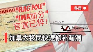 加拿大移民快速修补漏洞，“flag pole”“LMIA加分”官宣已猝！