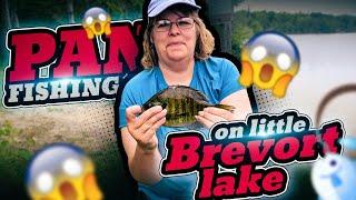 Bluegill Fishing on Little Brevort Lake in Michigan | How to Catch Bluegill (Part Two)