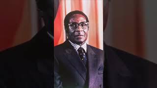 The Night Zimbabweans will never forget |President R G Mugabe Resigned #shorts #zimnews #shortsviral