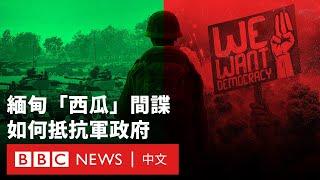 外綠內紅：緬甸「西瓜部隊」的雙重身份－ BBC News 中文