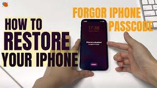 Forgot Your iPhone Passcode? Here's How to Restore Your iPhone (12, 11, XR, XS, X, etc.) - AppGeeker