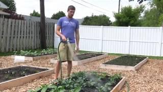 How Your Watering Methods Affect Soil & Plant health