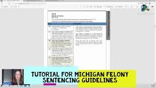 Q&A: A Tutorial on Michigan Sentencing Guidelines for Felonies