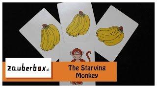 The Starving Monkey - Review | Zauberbox TV