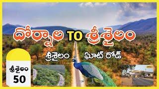 Dornala to Srisailam ghat road