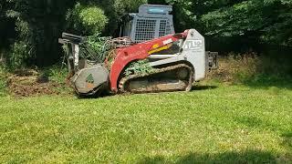 PLOWING DOWN BAMBOO with a TRACKLOADER #trackloader #skidsteer #bamboo #bigbellybeaver #plowing