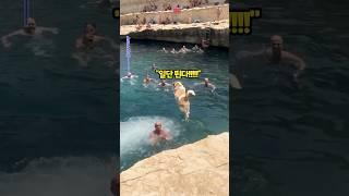 할아버지와 매일 바다로 나가는 강아지