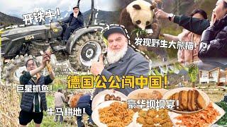 带德国公公探寻野生大熊猫！豪华农村坝坝宴，绝味山珍超惊艳！Searching for Pandas in the Wild in Sichuan China!