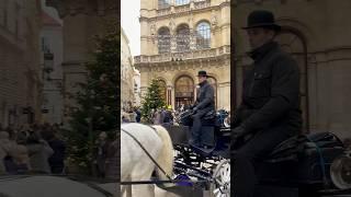 Magical Christmas in Vienna! #christmas #christmasmarkets #vienna #austria #horsecarriage