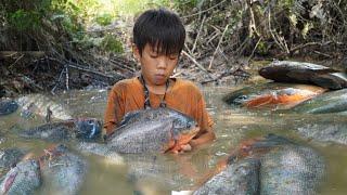 Orphan boy: How to catch huge schools of fish in deep mud valleys