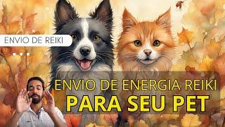 Reiki para animais de estimação e animais cura energética para animais de estimação