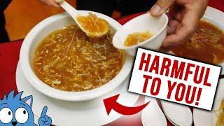 Simplifying and Explaining Whether Shark Fin Soup Is Illegal in Singapore