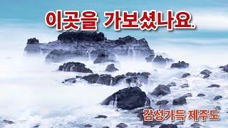 사진감상.한국사계(제19편, 제주도 2024가을 촬영). 사진 무료제공 (커뮤니티에서).사진작가전국출사지역.Appreciating photos