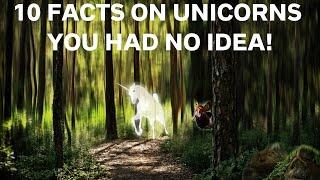 10 Facts On Unicorns You Had No Idea!