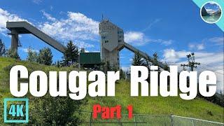 Calgary Neighbourhood Walk  Cougar Ridge Part 1