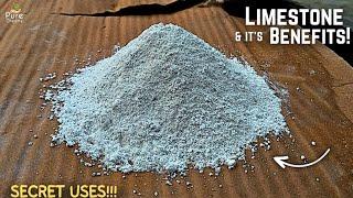 6 Benefits of LimeStone For Plants! - How To Use LimeStone Powder For Plants?