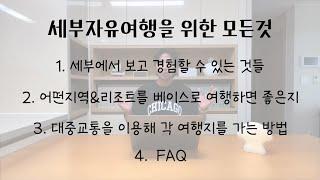 [긴영상주의] 세부자유여행 계획 중?!!! 이 영상 하나로 세부여행 준비 끝! 영혼까지 갈아 넣은 세부여행 꿀팁 대방출