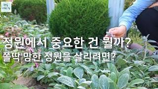 장마로 망한 정원을 되살리는 꿀팁 총망라!/경험으로 배운 방법 공유/가드닝  정원가꾸기 식물키우기 정원꾸미기