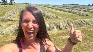 Rakin Windrows! ... a Hay Tornado  & 1842 Bales later | #hay #femalefarmer