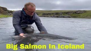 The Blanda River Salmon Fishing in Iceland