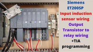 Siemens ET200SP Input induction sensor wiring and Output transistor to relay wiring +TIA programming