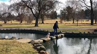 Best Allentown Dog Trainers ||| Place to Place across Pond ||| OLK9 Lehigh Valley